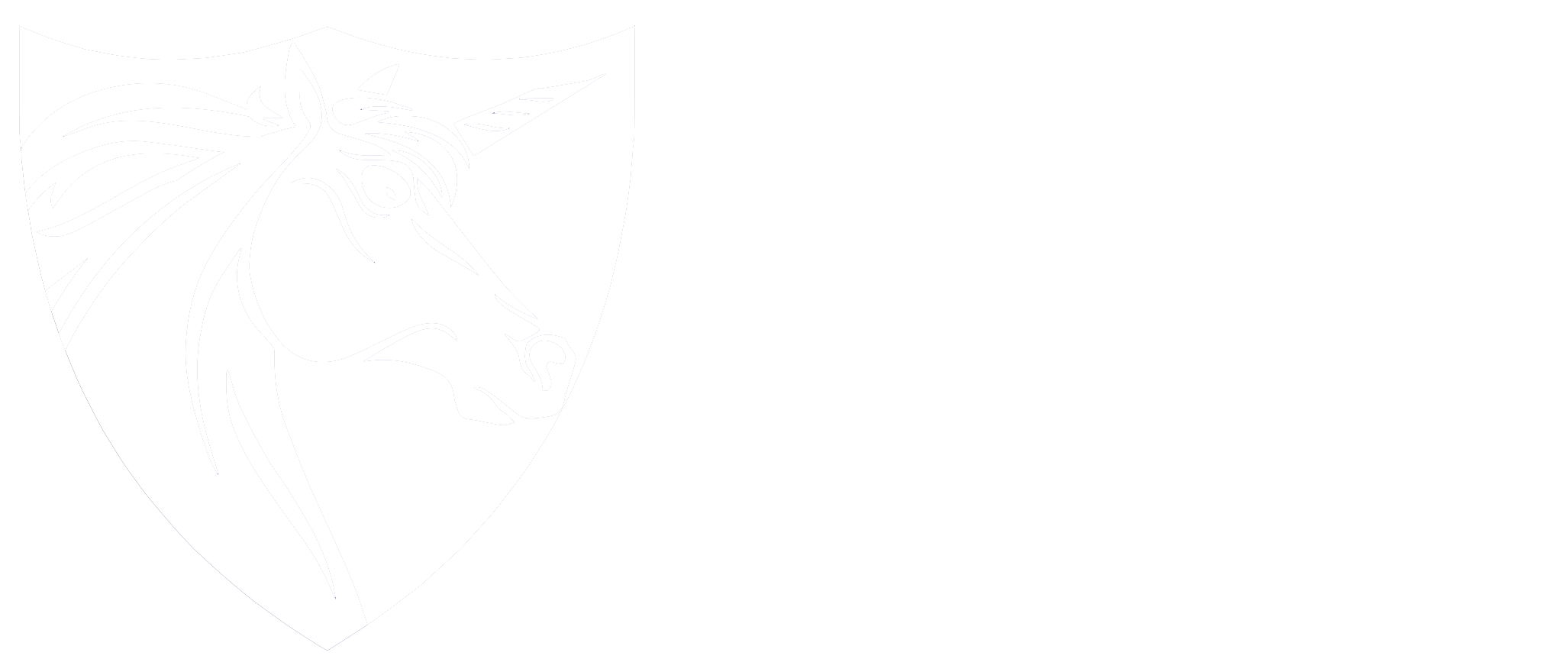 SYR Seguridad